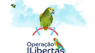 MPPR participa de operação de combate ao tráfico de espécies da fauna silvestre realizada simultaneamente em 11 estados MPPR participa de operação de combate ao tráfico de espécies da fauna silvestre realizada simultaneamente em 11 estados