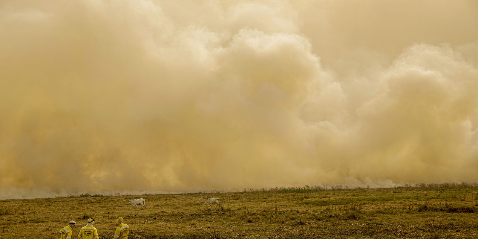 Calor já mata meio milhão de pessoas por ano, alertam cientistas Calor já mata meio milhão de pessoas por ano, alertam cientistas