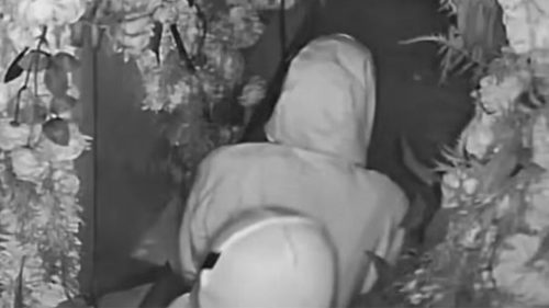 Imagem referente a Casal invade restaurante, faz sexo e furta dinheiro, rum e iPhone