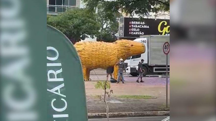 Capivara de bambu vira armário de moradores de rua no Centro de Cascavel