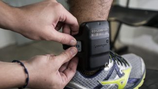 Filipe Martins alega falha involuntária no sinal da tornozeleira Filipe Martins alega falha involuntária no sinal da tornozeleira