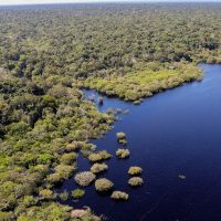 Amazônia e Cerrado registram queda de 11% no desmatamento Imagem referente a Amazônia e Cerrado registram queda de 11% no desmatamento