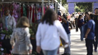 Desemprego no trimestre cai para menor taxa da série histórica Desemprego no trimestre cai para menor taxa da série histórica