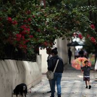 Capital paulista amanhece com céu encoberto e chuva Imagem referente a Capital paulista amanhece com céu encoberto e chuva