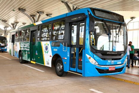 Transitar reforça linha de ônibus para o Cemitério Central no feriado de Finados