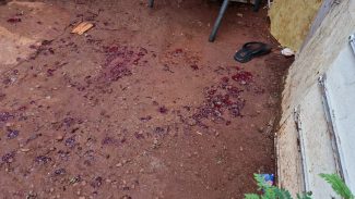 Conforme testemunhas, Conforme testemunhas,