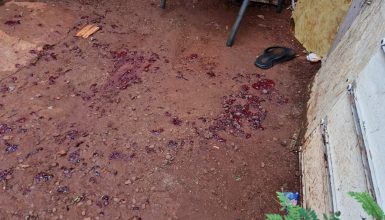 Imagem referente a Conforme testemunhas, 