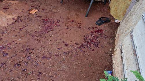 Conforme testemunhas, “Menor” teria sido assassinado a marteladas e facadas no Interlagos Imagem referente a Conforme testemunhas, “Menor” teria sido assassinado a marteladas e facadas no Interlagos