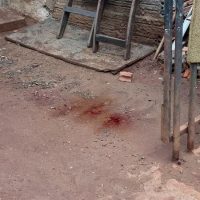 Imagem referente a Envolvidos em confusão que terminou com homicídio a facadas no Interlagos são ouvidos pela DH