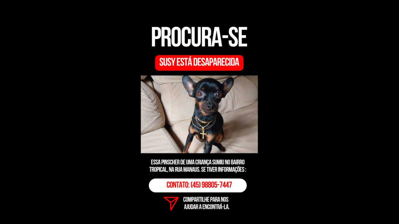 Cachorra Suzy desapareceu no bairro Recanto Tropical