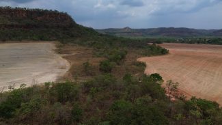 Fronteira Cerrado: expansão do agro no coração hídrico do Brasil Fronteira Cerrado: expansão do agro no coração hídrico do Brasil