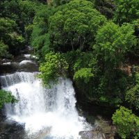 Imagem referente a Fronteira Cerrado: ativistas pedem mesma prioridade dada à Amazônia