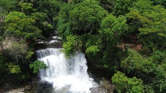 Fronteira Cerrado: ativistas pedem mesma prioridade dada à Amazônia Fronteira Cerrado: ativistas pedem mesma prioridade dada à Amazônia
