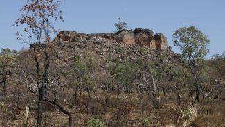 Agência Brasil lança primeira reportagem da seleção Nádia Franco Agência Brasil lança primeira reportagem da seleção Nádia Franco