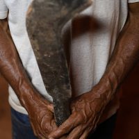 Imagem referente a Fronteira Cerrado: desmatamento gera conflitos por terra e grilagem