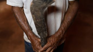 Fronteira Cerrado: desmatamento gera conflitos por terra e grilagem Fronteira Cerrado: desmatamento gera conflitos por terra e grilagem