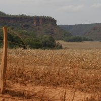 Imagem referente a Fronteira Cerrado: acesso desigual ao Estado agrava conflitos agrários