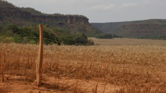 Fronteira Cerrado: acesso desigual ao Estado agrava conflitos agrários Fronteira Cerrado: acesso desigual ao Estado agrava conflitos agrários