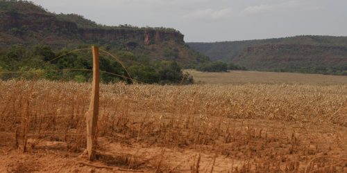 Fronteira Cerrado: acesso desigual ao Estado agrava conflitos agrários Imagem referente a Fronteira Cerrado: acesso desigual ao Estado agrava conflitos agrários