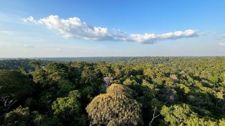 COP30: o que é, quando acontece e o que será discutido em Belém COP30: o que é, quando acontece e o que será discutido em Belém