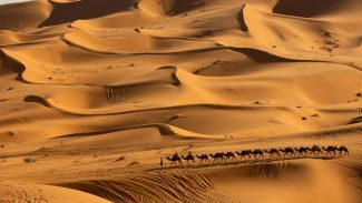 Pesquisa prevê mudanças no clima do Deserto do Saara nos próximos anos Pesquisa prevê mudanças no clima do Deserto do Saara nos próximos anos