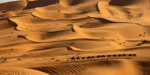 Pesquisa prevê mudanças no clima do Deserto do Saara nos próximos anos Imagem referente a Pesquisa prevê mudanças no clima do Deserto do Saara nos próximos anos