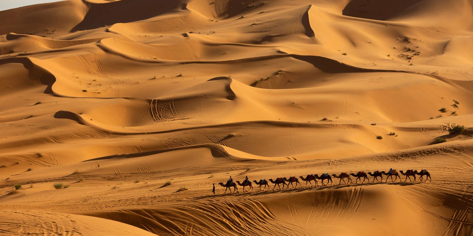 Pesquisa prevê mudanças no clima do Deserto do Saara nos próximos anos Pesquisa prevê mudanças no clima do Deserto do Saara nos próximos anos