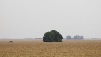 Fronteira Cerrado: o agronegócio entre desenvolvimento e destruição Fronteira Cerrado: o agronegócio entre desenvolvimento e destruição