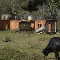 Imagem referente a Filme Rejeito aborda violência que a mineração leva a cidades mineiras
