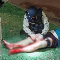 Imagem referente a Imagens divulgadas pela PM mostram gravidade de ataque de cães no bairro Tropical