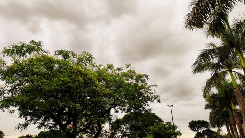 Defesa Civil emite alerta de risco de trovoadas e temporal em Cascavel Defesa Civil emite alerta de risco de trovoadas e temporal em Cascavel