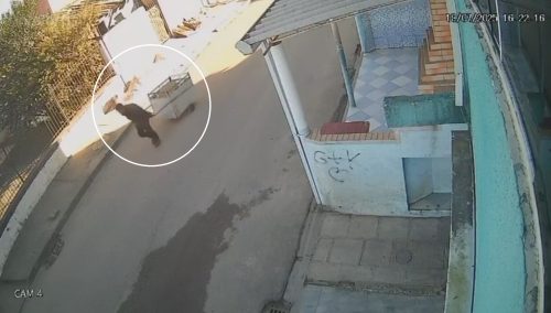 PCPR prende homem por envolvimento em homicídio ocorrido no bairro Cajuru, em Curitiba