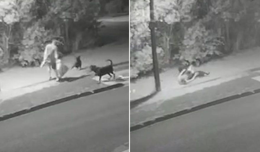 Vídeo mostra momento em que homem foi atacado por cachorros no Bairro Tropical