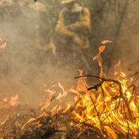 Imagem referente a Pantanal é o bioma mais atingido pelo aumento da temperatura no país