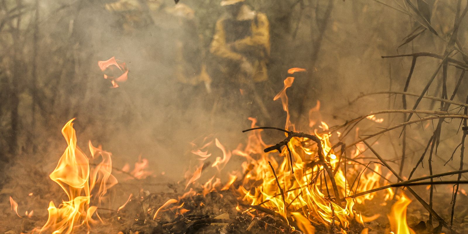 Pantanal é o bioma mais atingido pelo aumento da temperatura no país Imagem referente a Pantanal é o bioma mais atingido pelo aumento da temperatura no país