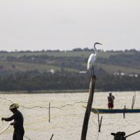 Imagem referente a Gestão do seguro-defeso passa oficialmente ao Ministério do Trabalho