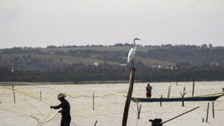 Gestão do seguro-defeso passa oficialmente ao Ministério do Trabalho