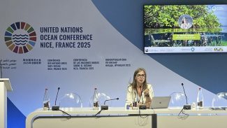 Especialista da COP30 cobra mais financiamento para oceanos Especialista da COP30 cobra mais financiamento para oceanos