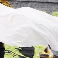 Imagem referente a Proteção de adolescentes desafia conselhos tutelares após megaoperação