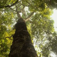 TV Brasil estreia nova temporada de Imagem referente a TV Brasil estreia nova temporada de