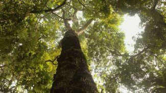 TV Brasil estreia nova temporada de 