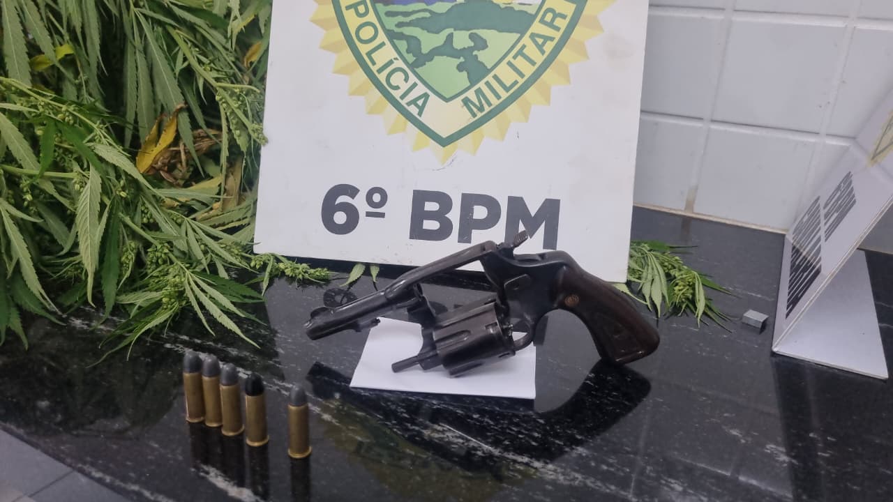 Após denúncia, PM encontra arma e pé de maconha em lote baldio no Florais do Paraná