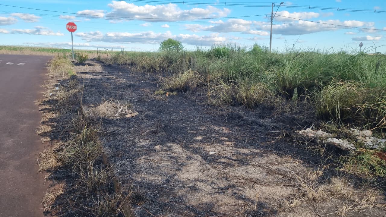 Incêndio em vegetação é registrado na Rua Grande Sertão