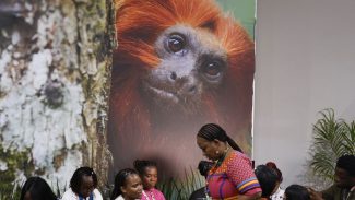 COP30: financiamento, transição e adaptação são centro das negociações