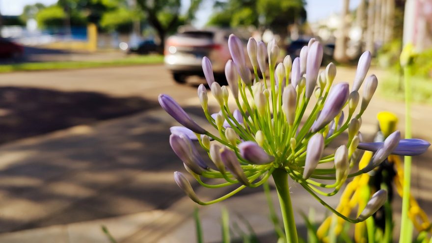O “sextou” ainda tem emoção, mas o fim de semana promete sol