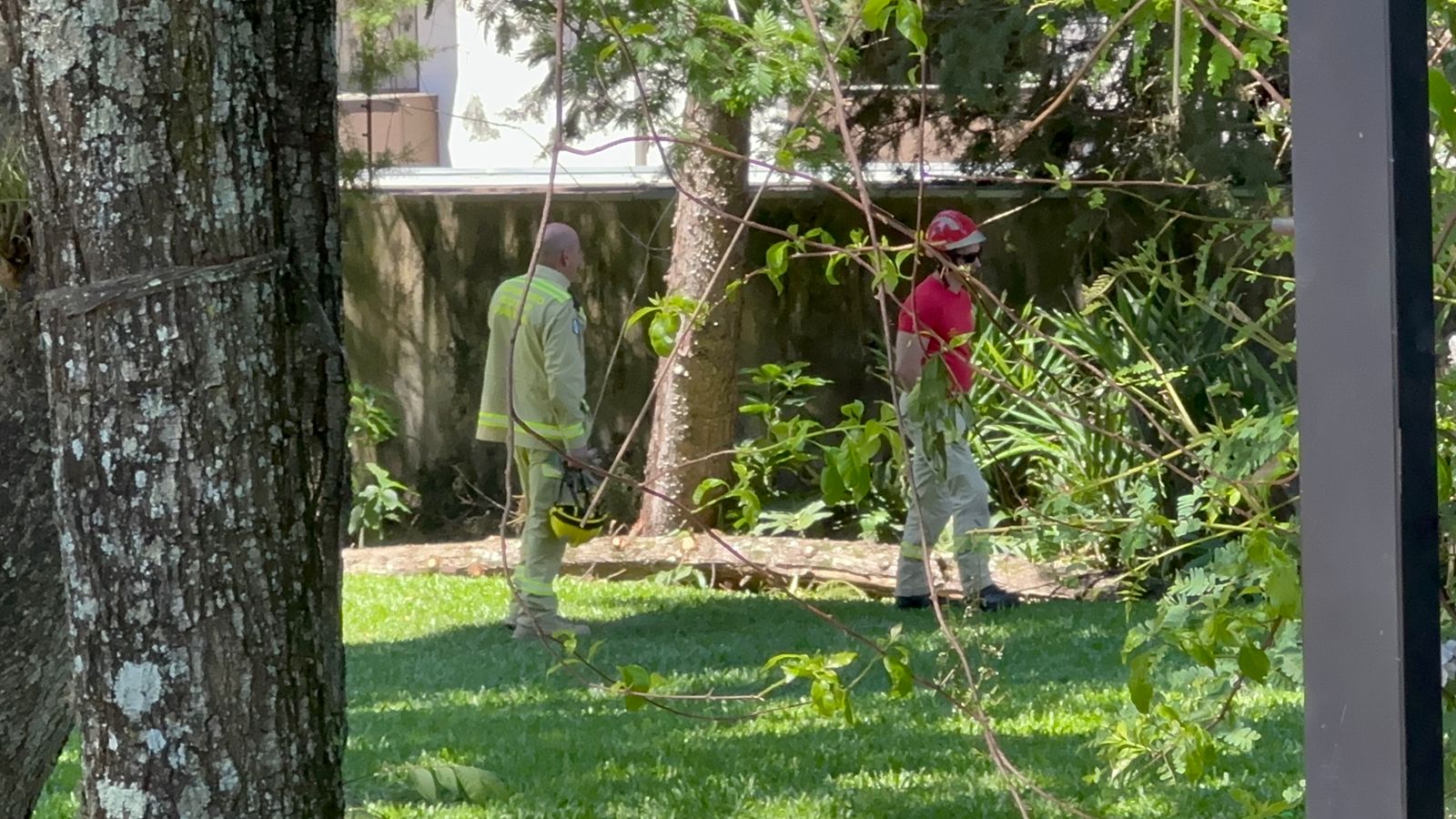 Árvore cai em garagem de condomínio no Bairro Country