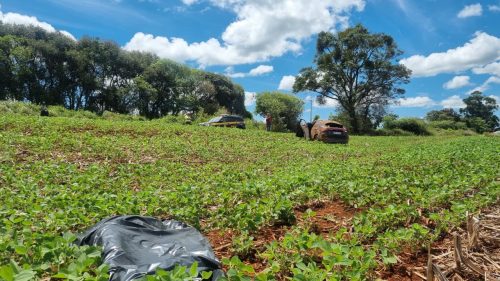 Foi identificado como João Victor de Camargo, o jovem que morreu em capotamento durante perseguição policial na BR-369, em Cascavel Imagem referente a Foi identificado como João Victor de Camargo, o jovem que morreu em capotamento durante perseguição policial na BR-369, em Cascavel
