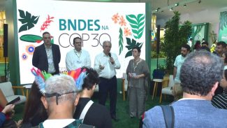 Chamada pública do BNDES vai mobilizar R$ 73 bi para investir no clima