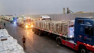 Gaza: 271 palestinos foram assassinados em um mês do cessar-fogo Gaza: 271 palestinos foram assassinados em um mês do cessar-fogo