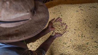 Livro aborda produção sustentável em meio à mudança climática Livro aborda produção sustentável em meio à mudança climática